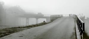 Diploma - Peš v šolo - Janez Resman